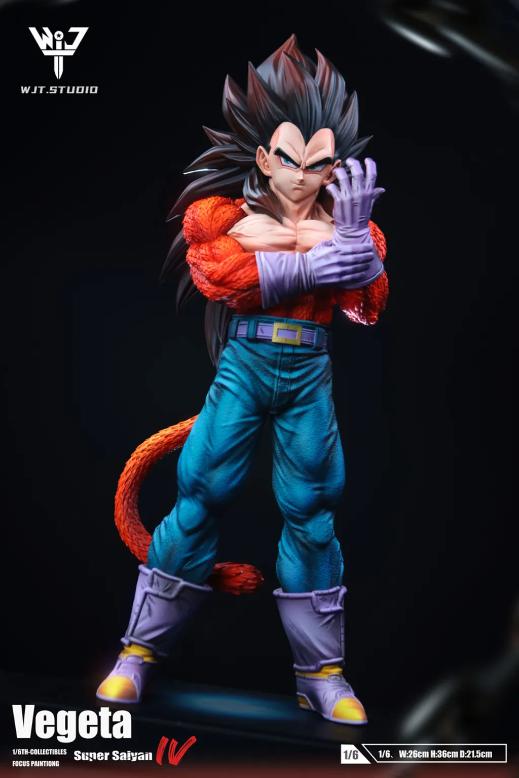 800x