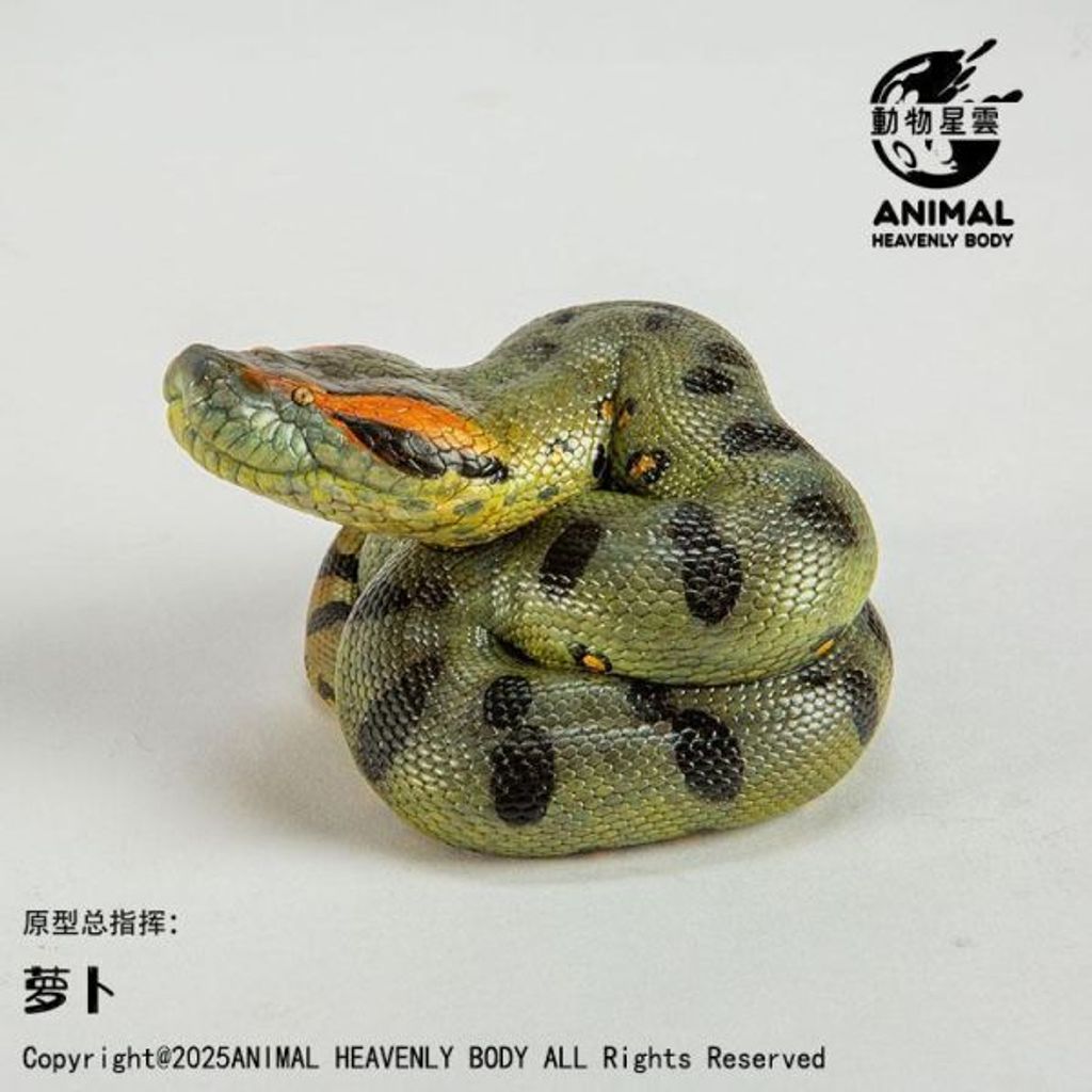 預定動物星雲_心寬體胖系列二十六彈一蛇4.0_3