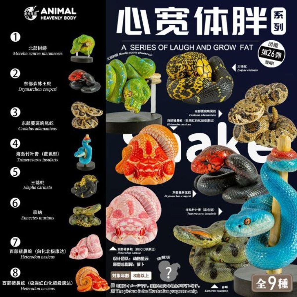 預定動物星雲_心寬體胖系列二十六彈一蛇4.0_1