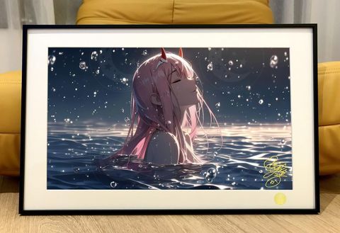 海外代購星空_《水之零二》Zero_Two國家隊DARLING_in_the_F_1