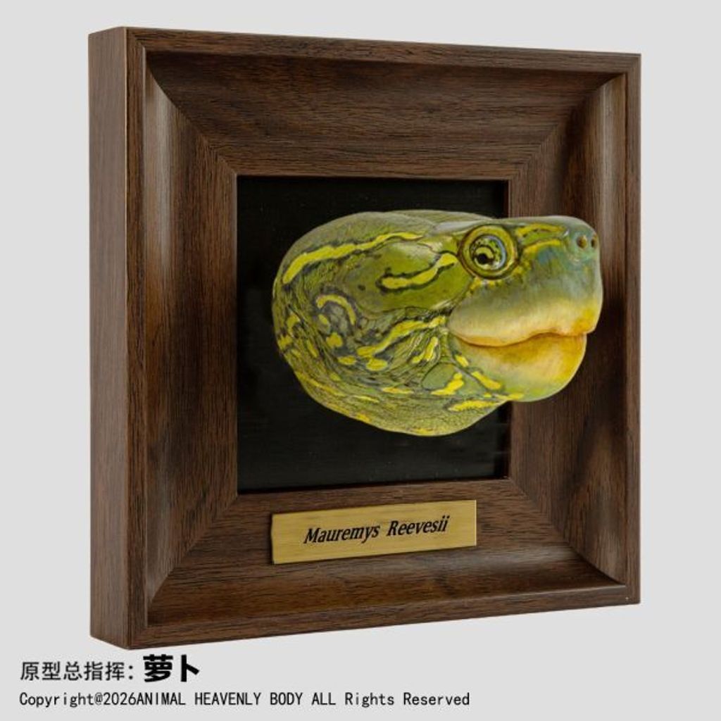 預定動物星雲_《框爬藝術展》系列_第1彈_7