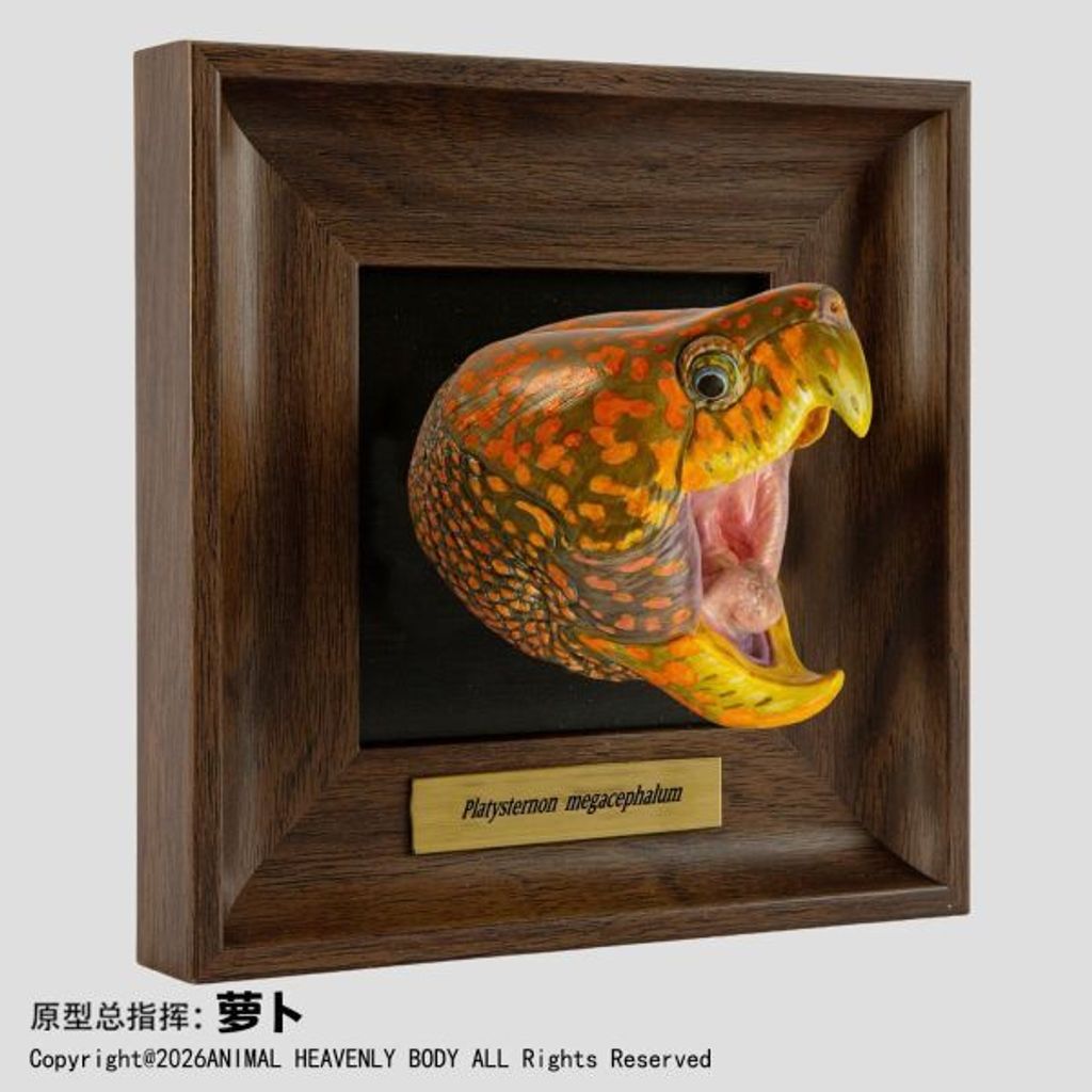 預定動物星雲_《框爬藝術展》系列_第1彈_6