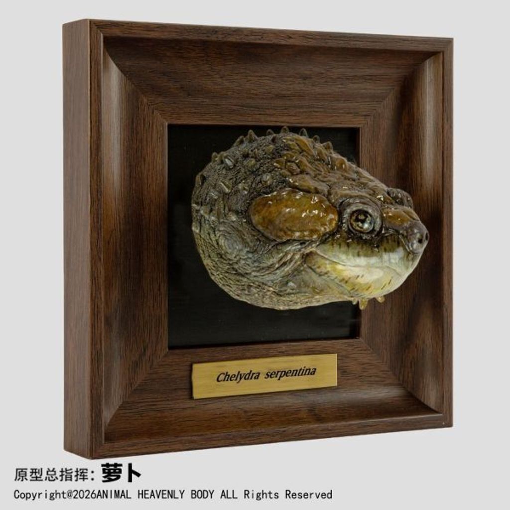 預定動物星雲_《框爬藝術展》系列_第1彈_4