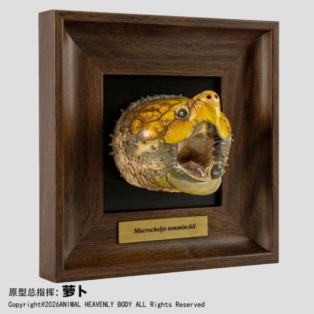 預定動物星雲_《框爬藝術展》系列_第1彈_5