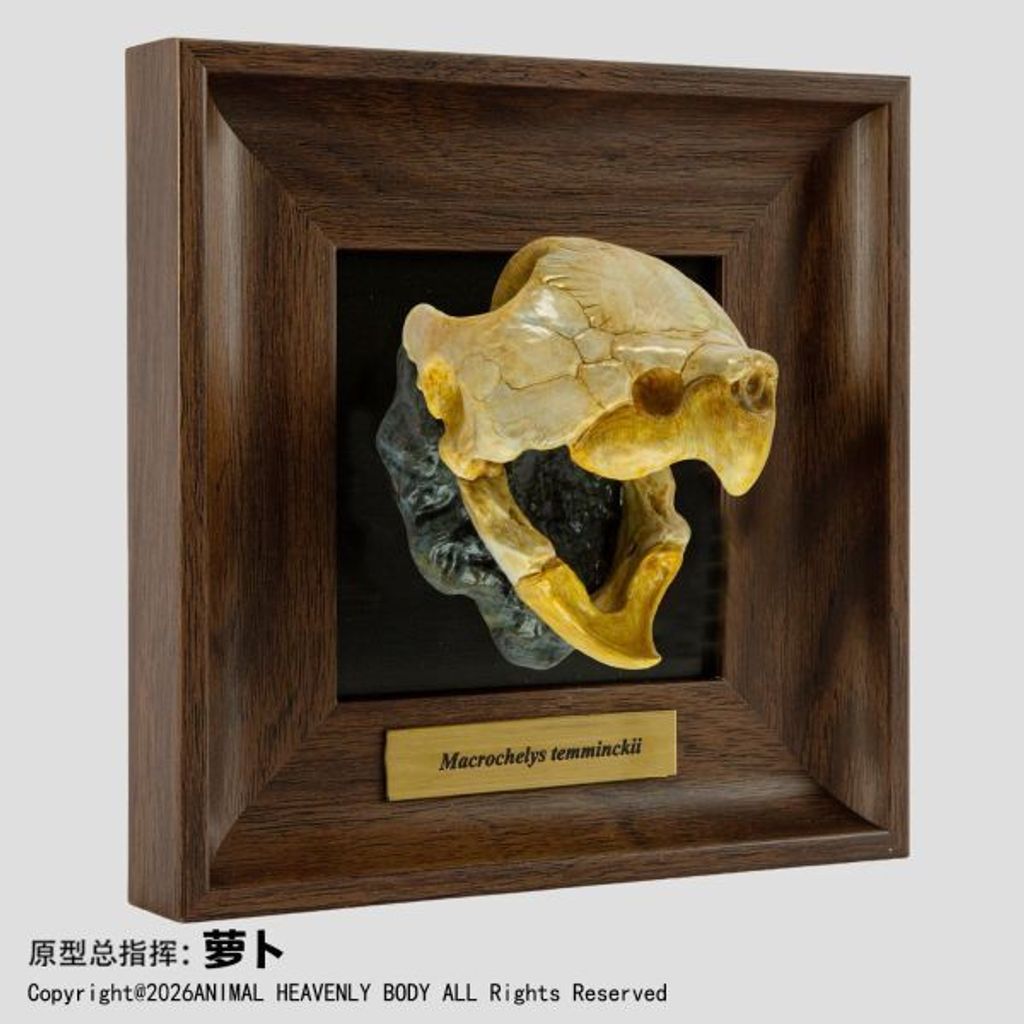 預定動物星雲_《框爬藝術展》系列_第1彈_8
