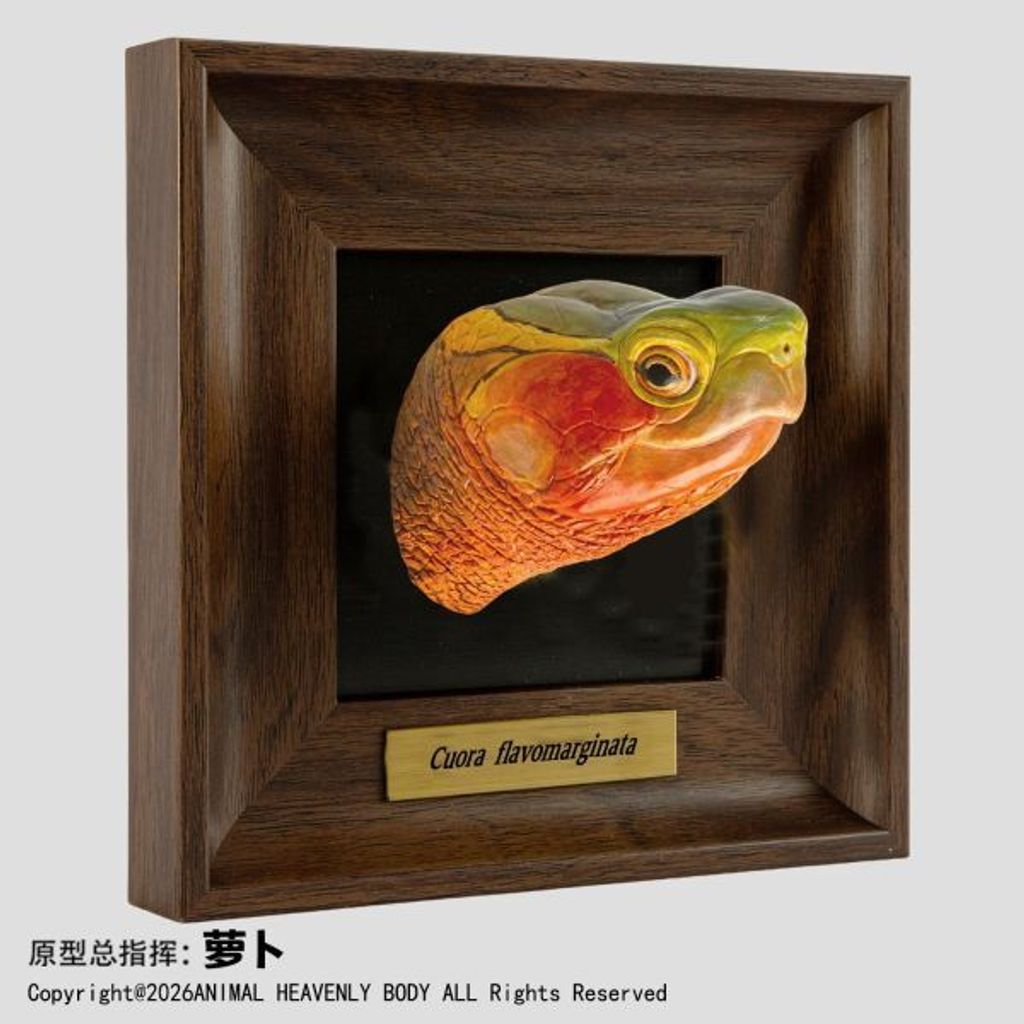 預定動物星雲_《框爬藝術展》系列_第1彈_3