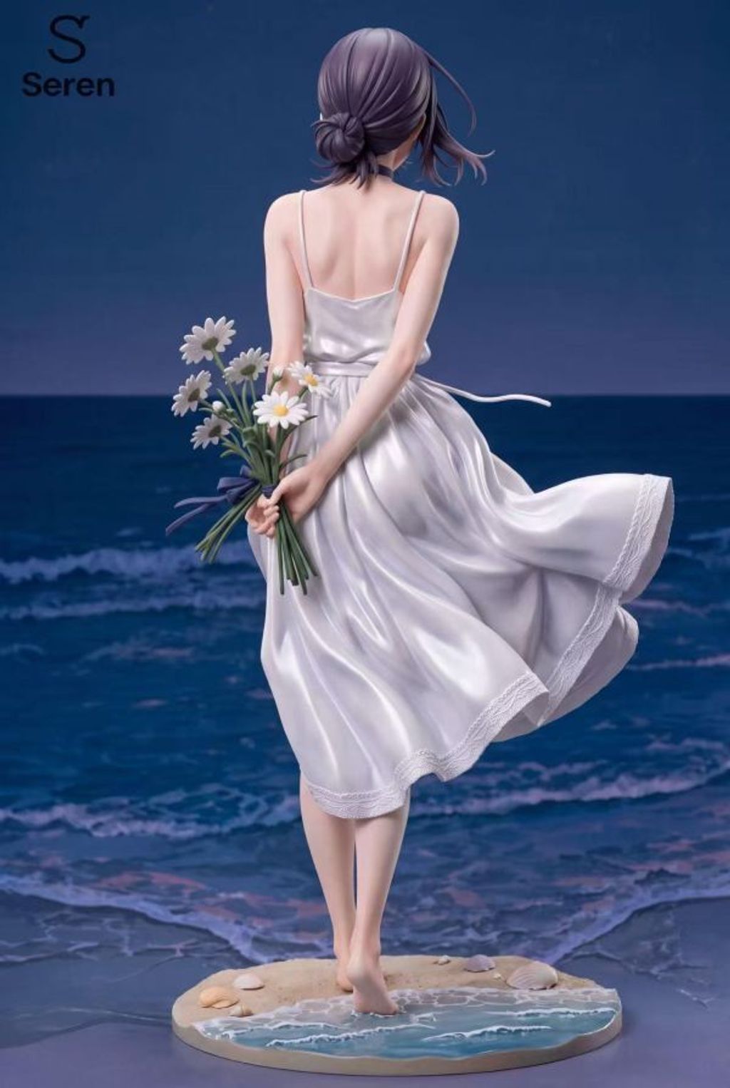 預定Seren_海風雛菊·蕾塞_5