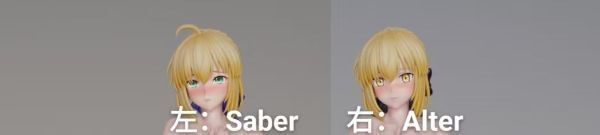 R18-預定spider_Saber與Alter_8