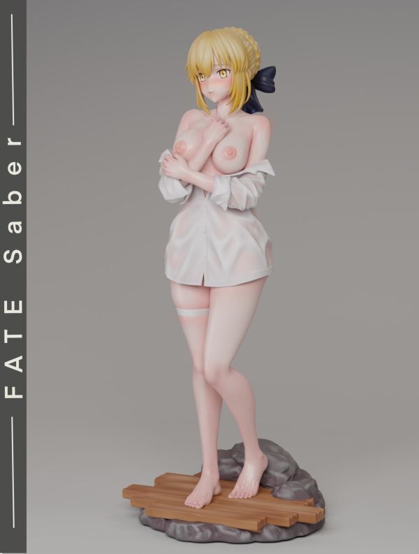 R18-預定spider_Saber與Alter_4