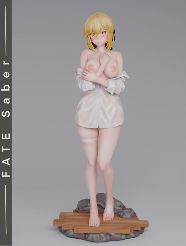 R18-預定spider_Saber與Alter_2