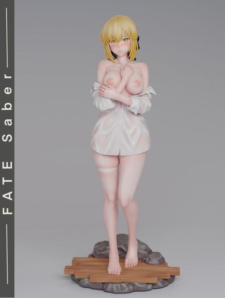 R18-預定spider_Saber與Alter_2