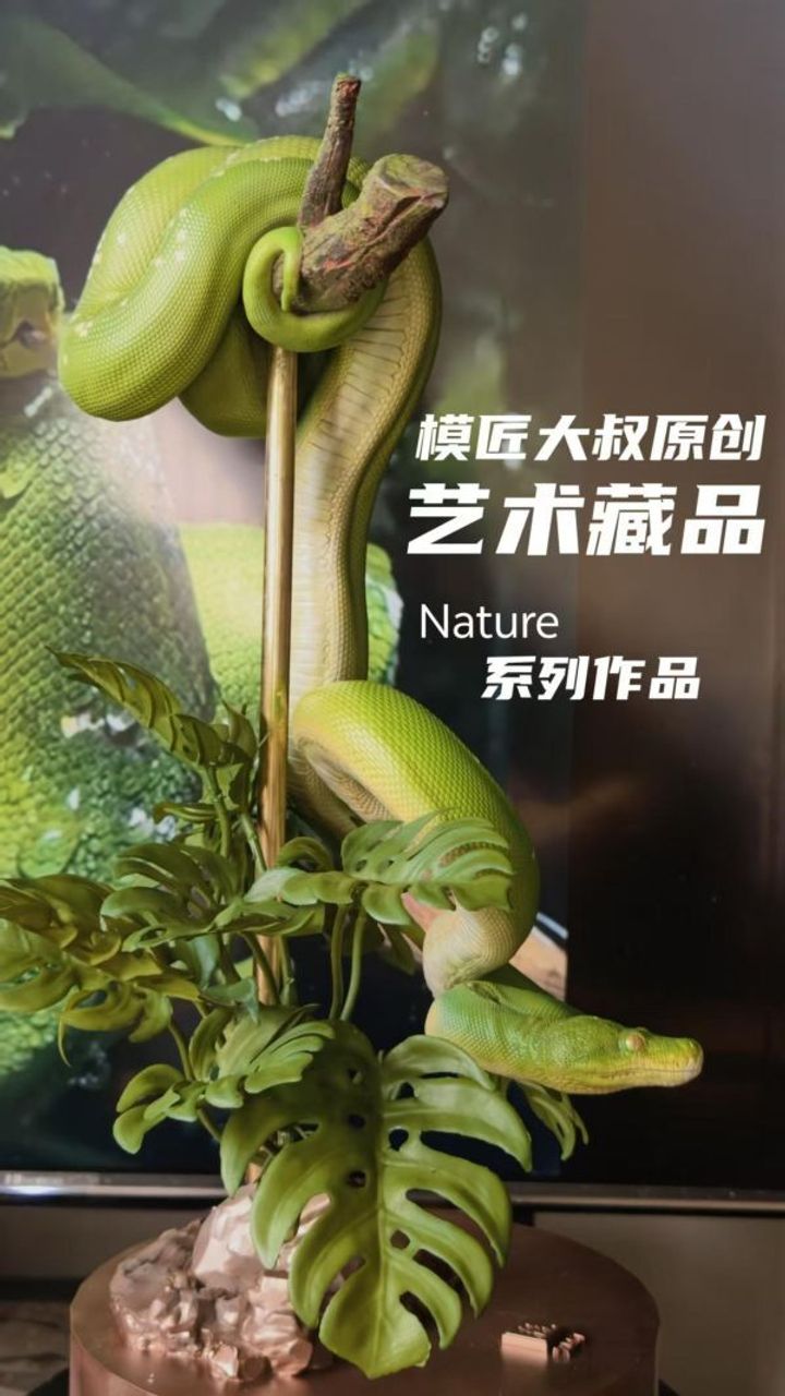 預定模匠大叔_Nature_系列_第一彈_綠樹蟒_2