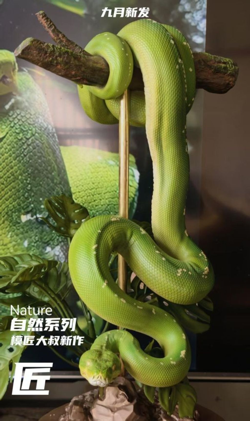 預定模匠大叔_Nature_系列_第一彈_綠樹蟒_3