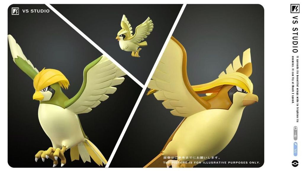 預定VS_比雕進化組－原色／異色＆比雕生態地台_寶可夢（Pokémon）_5