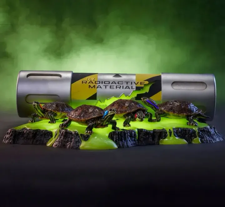 800x