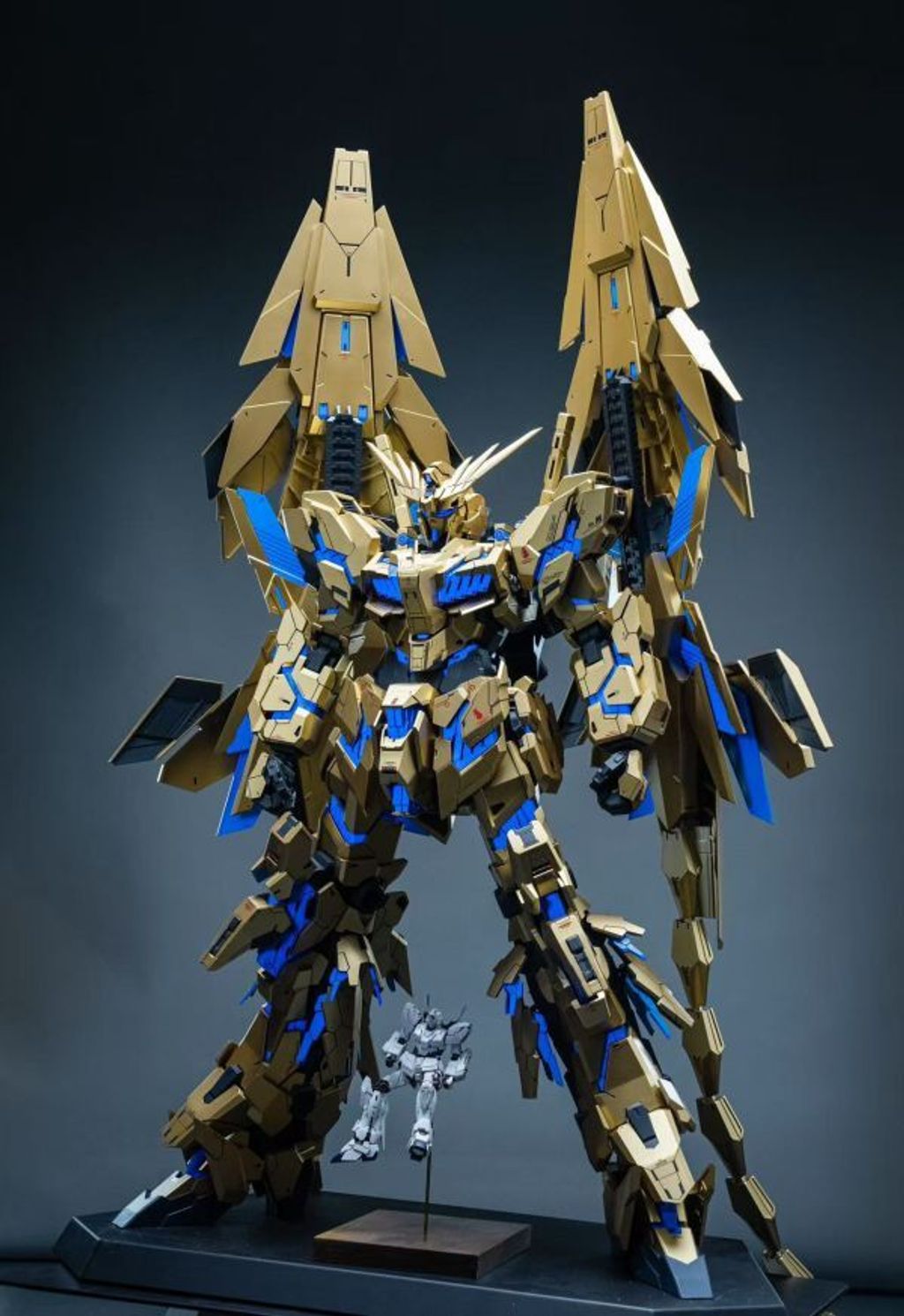 4d241c0a6e18d52b48bd5450e0f77fd1