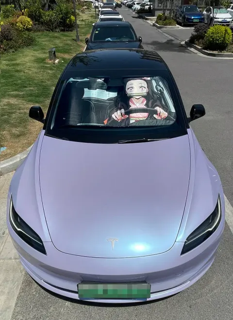 800x