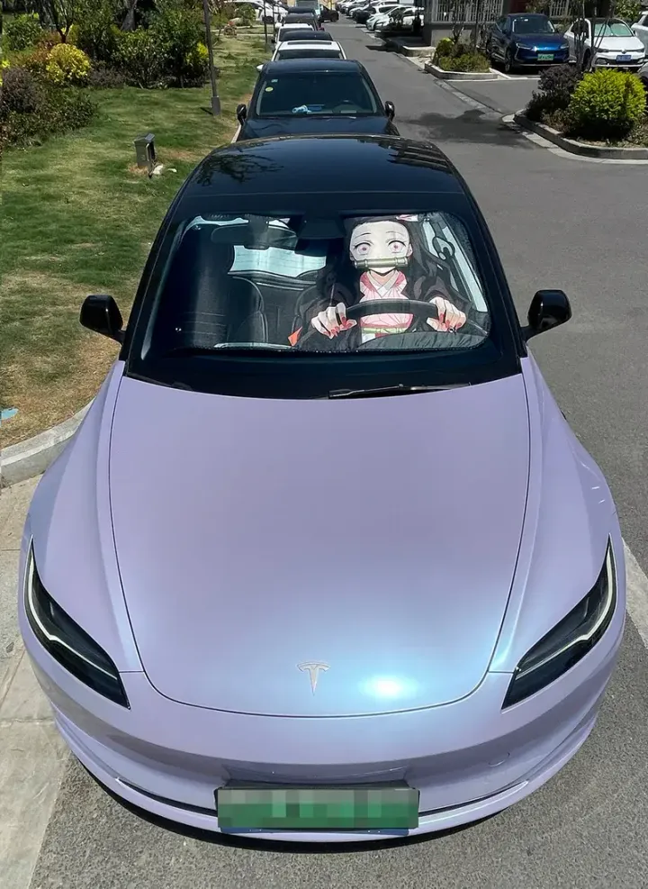 800x
