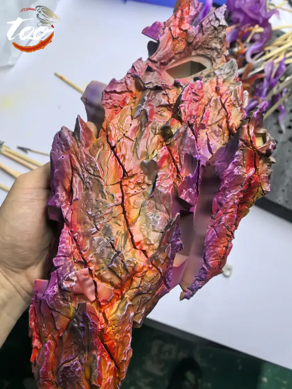 800x