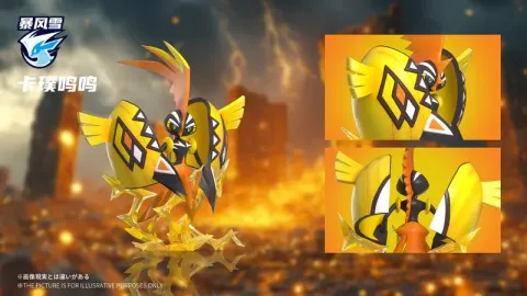 800x