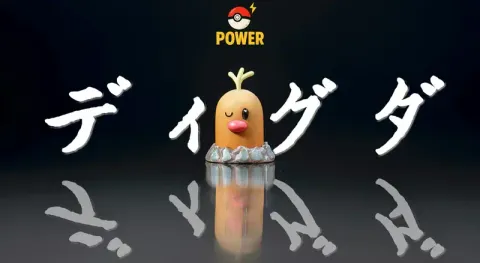 800x