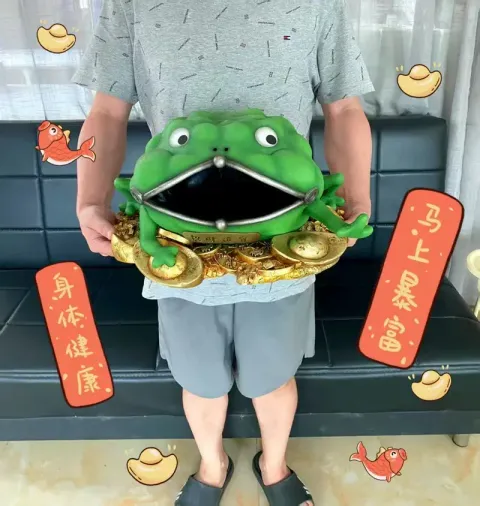 800x