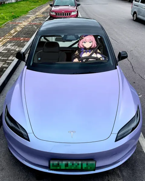 800x