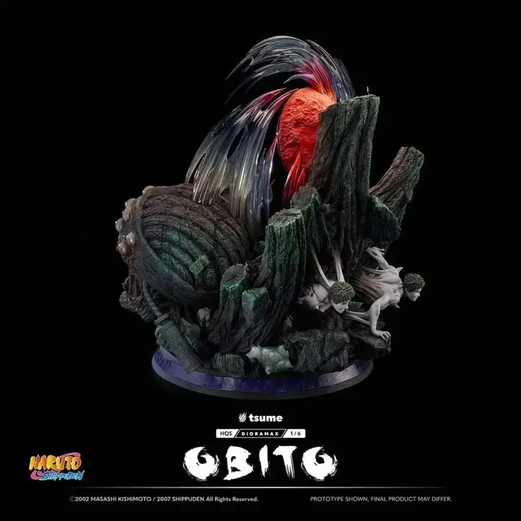 800x
