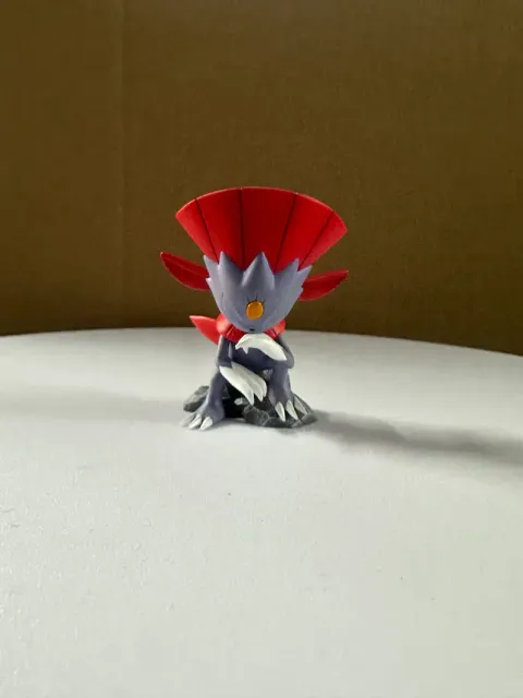 800x