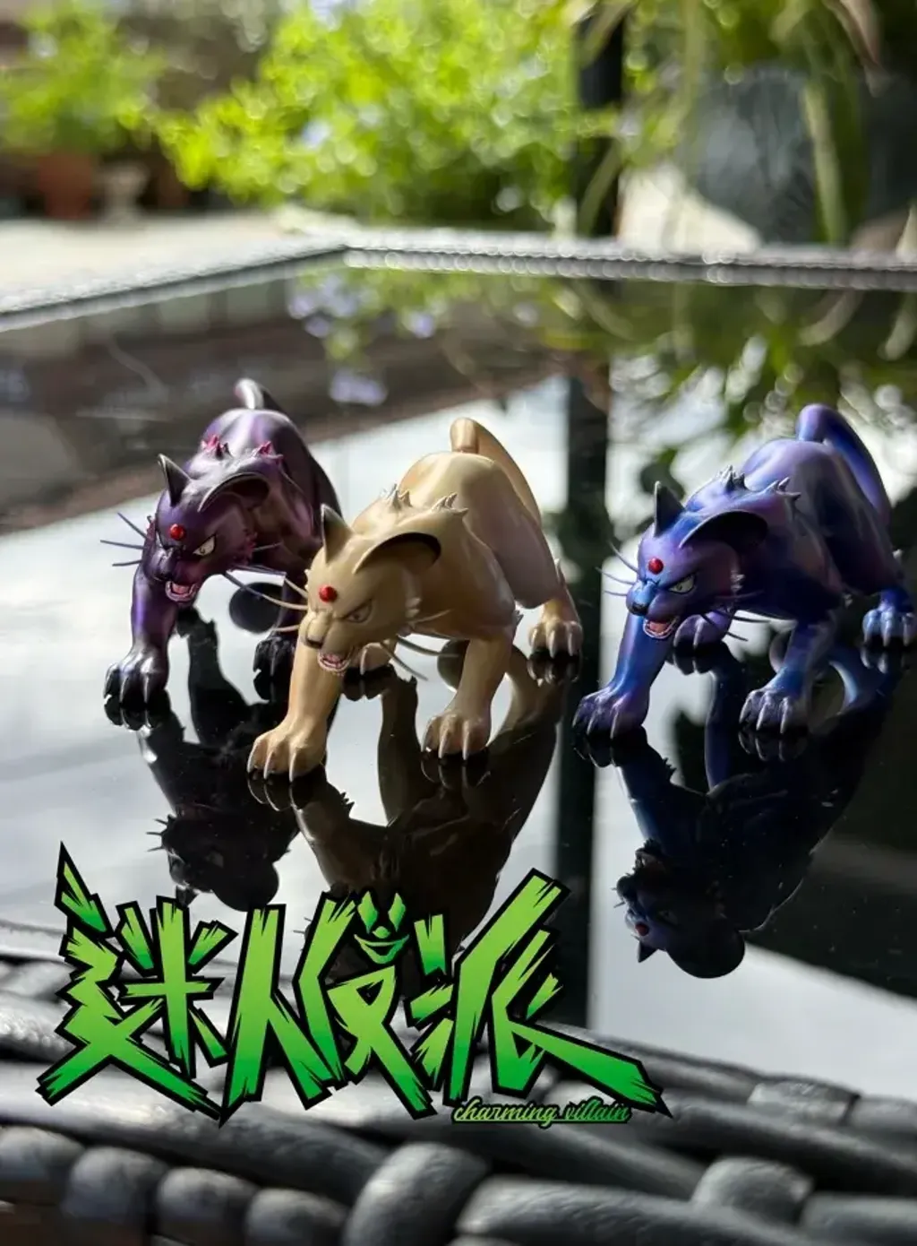 800x