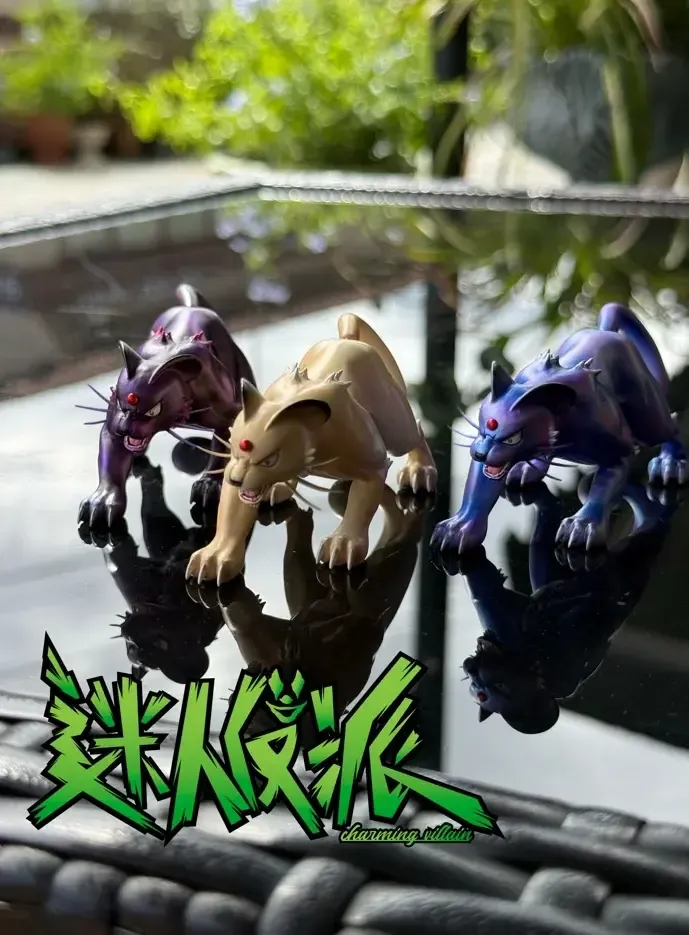 800x