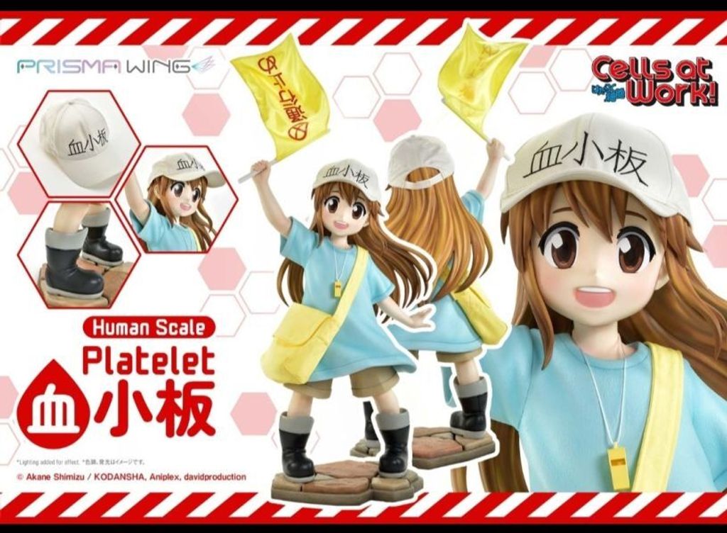 8114d3b7dad7d42c54fba23f1163984c