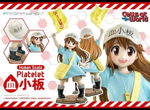 8114d3b7dad7d42c54fba23f1163984c