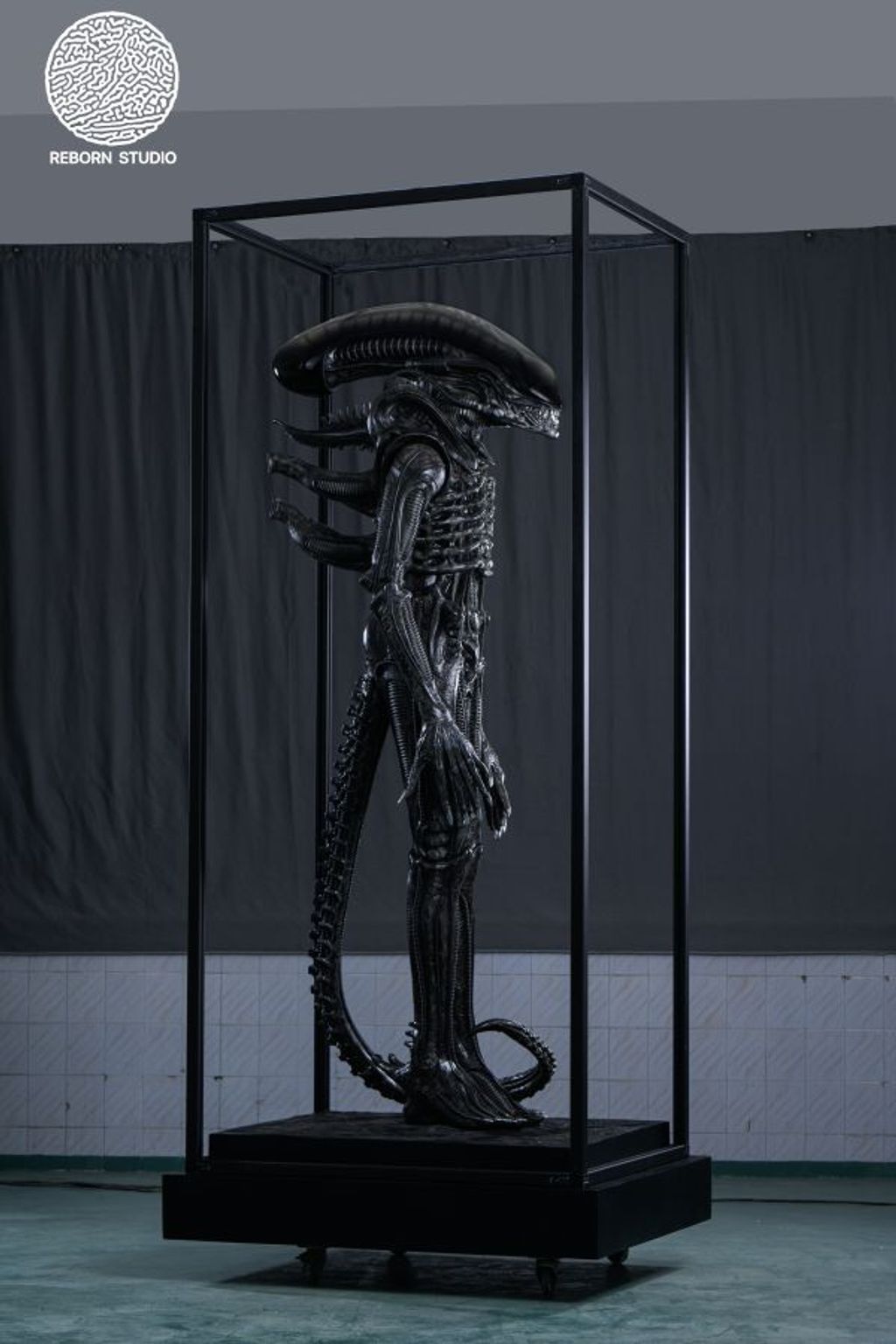 55486be825f195337e503962075b0802