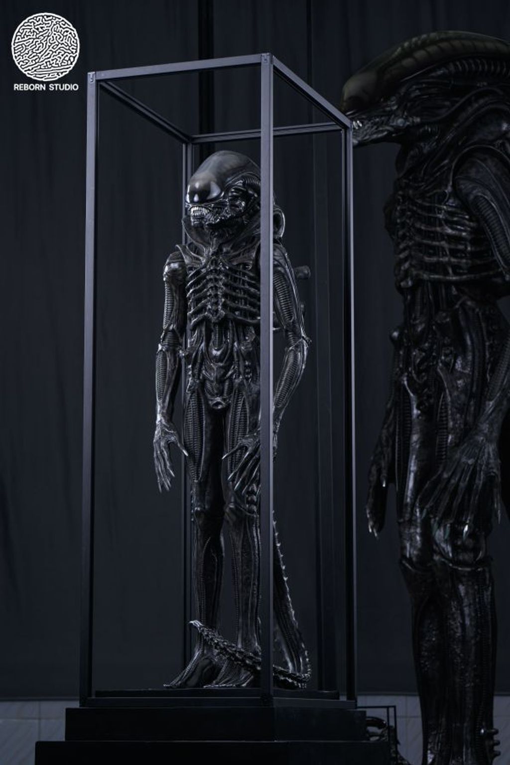 dfa0170a7d6f497c8c812dcea16529a5