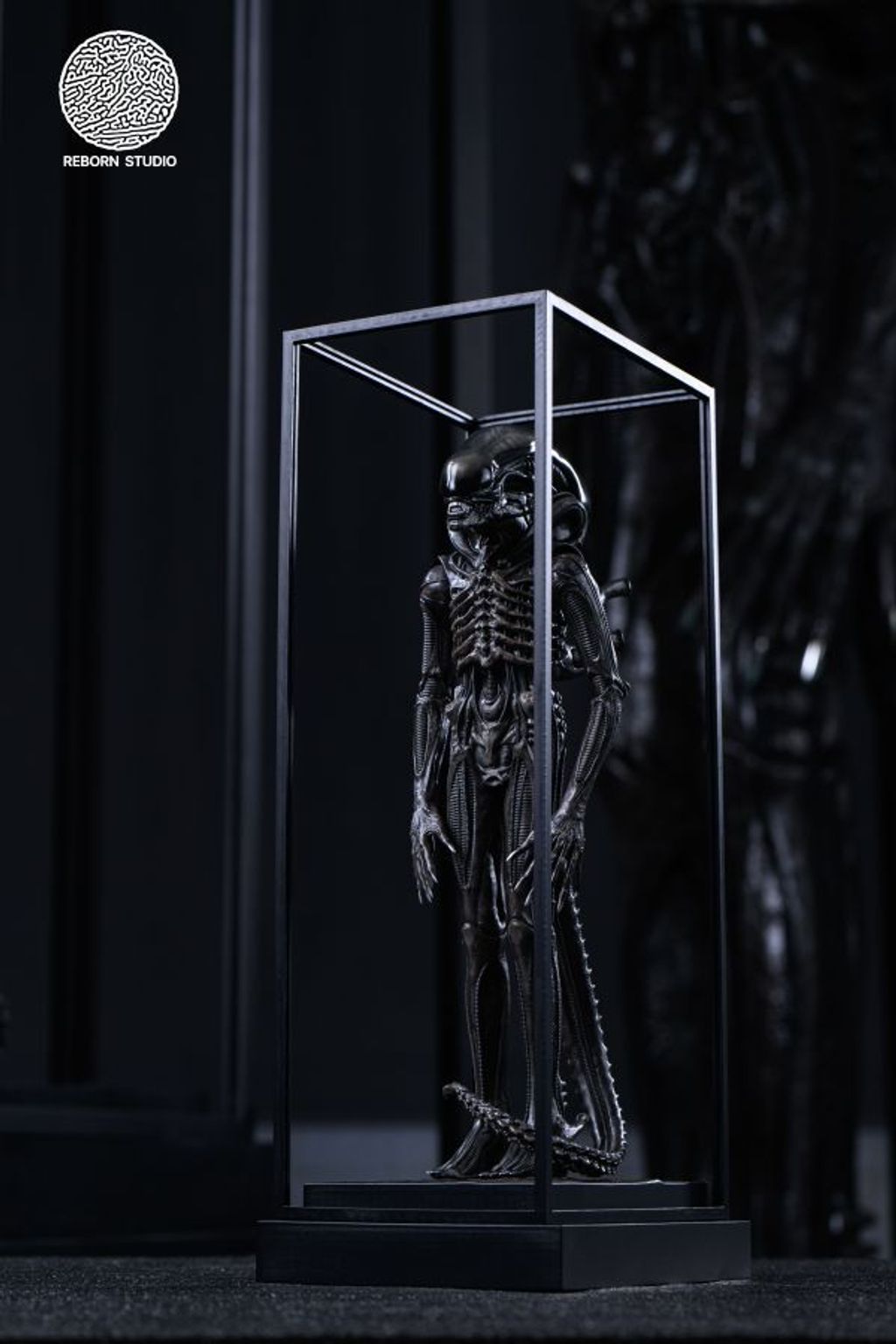 e9509fb27ab92bdafaab482f4e3f9dde