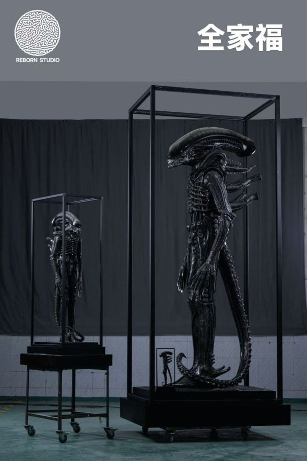 087822725d20fbfe6dfad40095951195