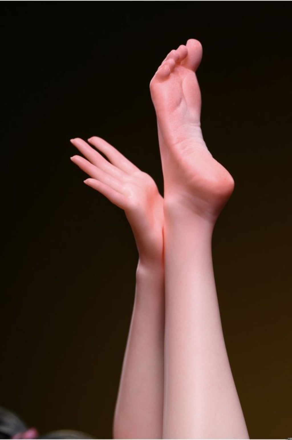 9d45c20e0d8272ced97d83e73bf64d71