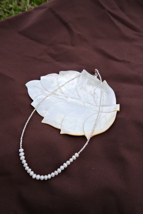 image_A2E92AA3-80A9-4FE1-B178-069485294F73_1756488300