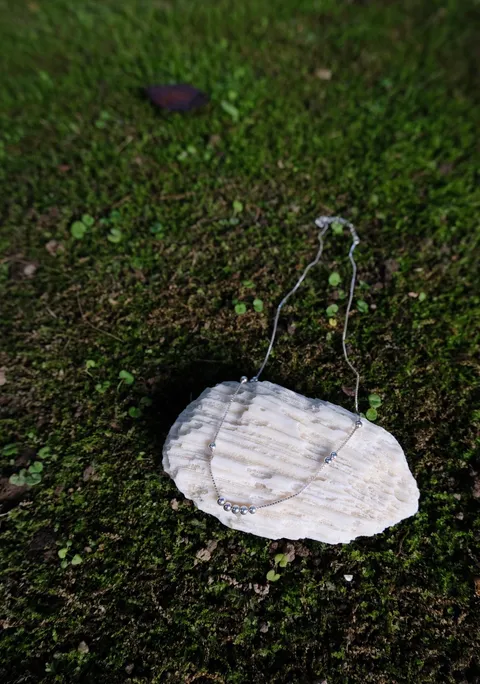 image_E6074231-03B4-47A1-AD19-3E6251B2A11A_1765295523