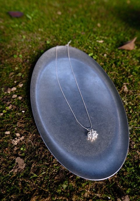 image_EBCB24C5-0F4C-436C-8B1B-FA7FAFDBC671_1765295848