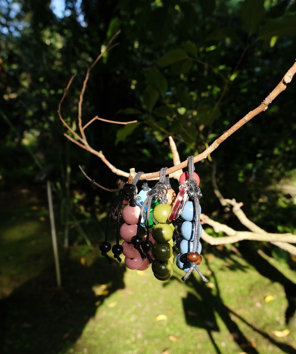 image_E12B5B33-34AC-4249-9404-C41F38698F56_1765296799