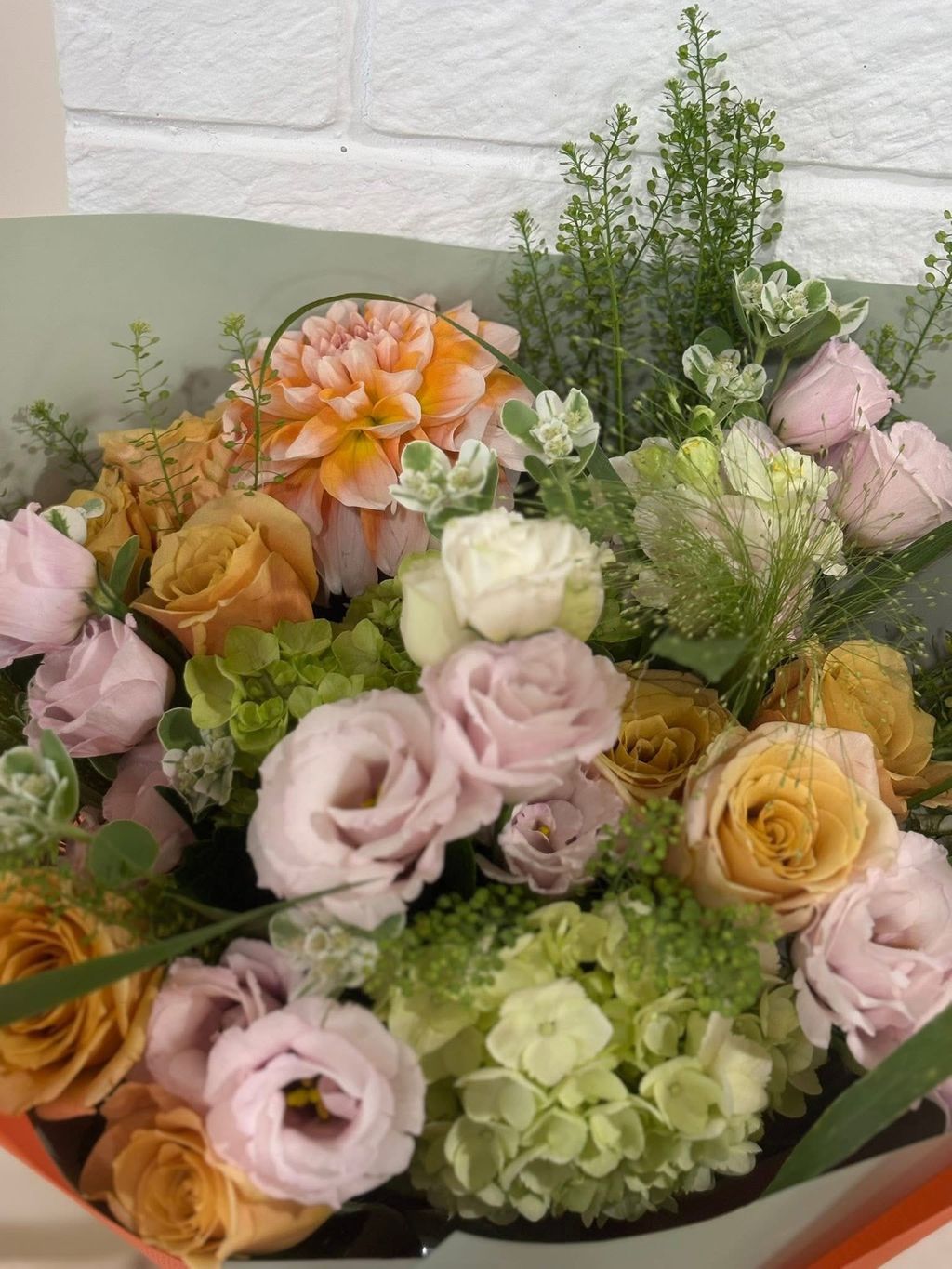 image_79CA121A-62DA-4833-8525-DE47AD1AE724_1766132022