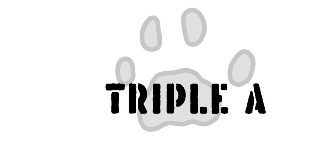 Triple_A_Japan