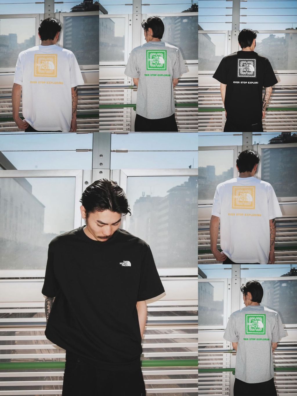 IMG_0547-1716558379406