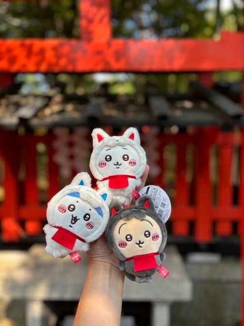 IMG_3239-1725663114667