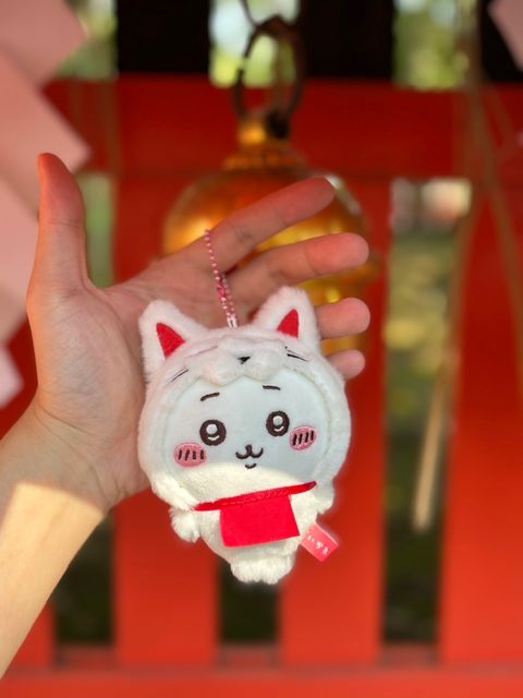 IMG_3246-1725663114680