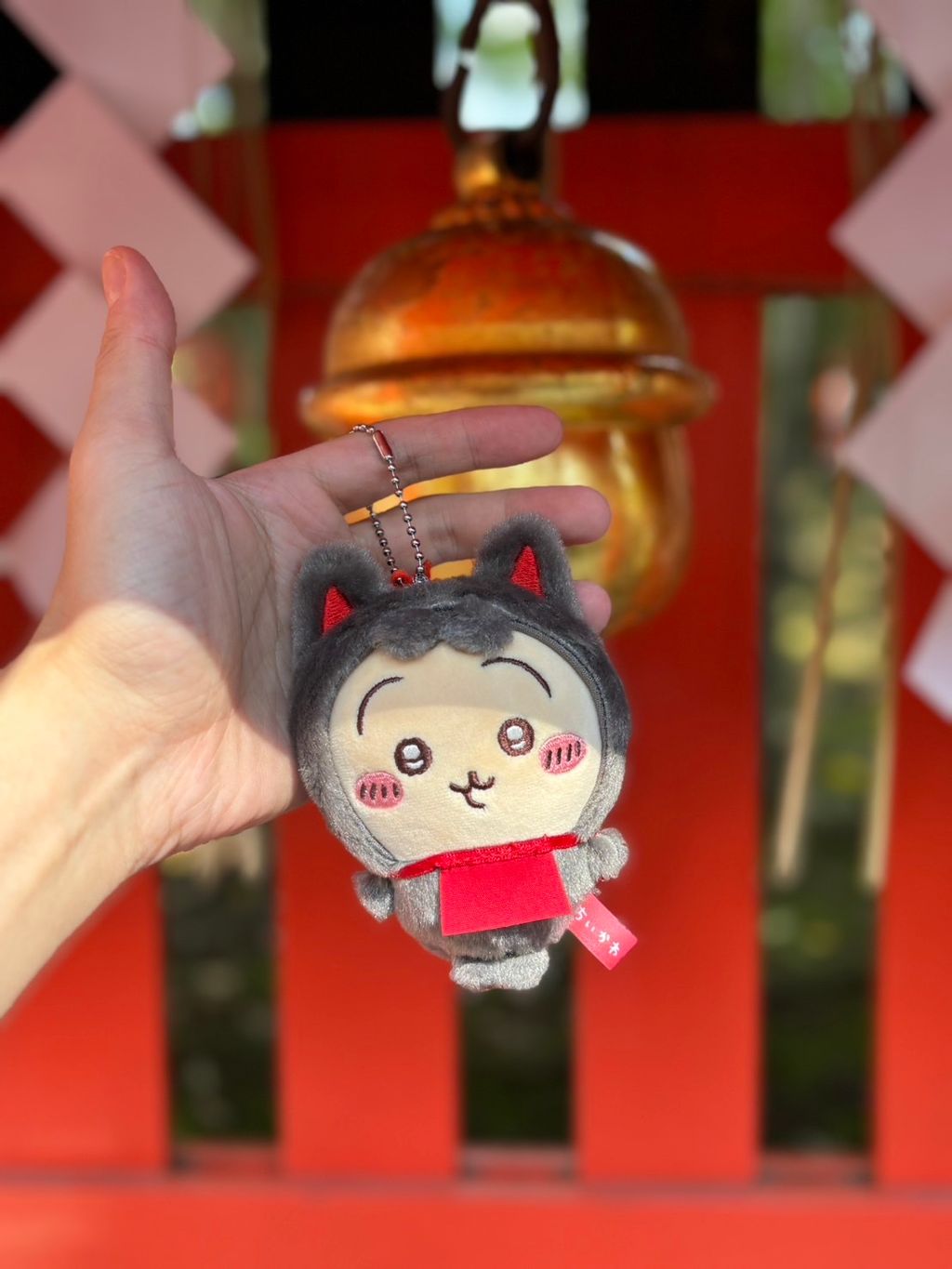 IMG_3244-1725663114694