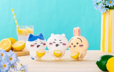 IMG_2105-1726716622388