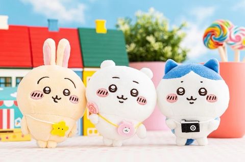 IMG_3900-1726717035758